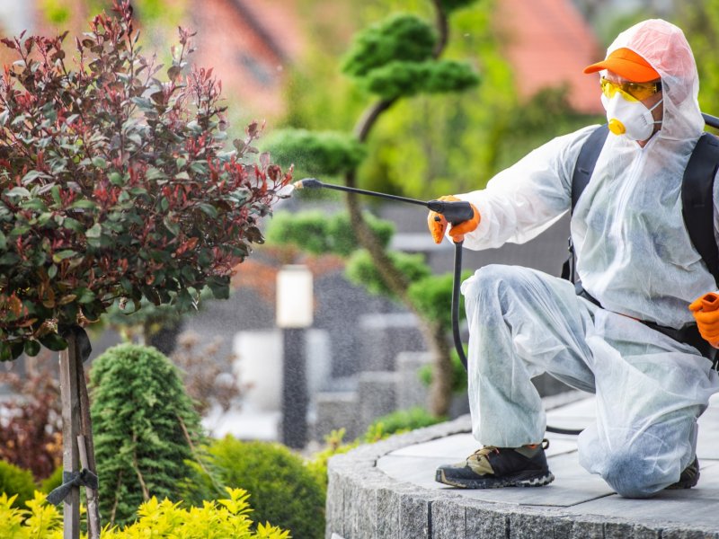 Atabey Haşere İlaçlama